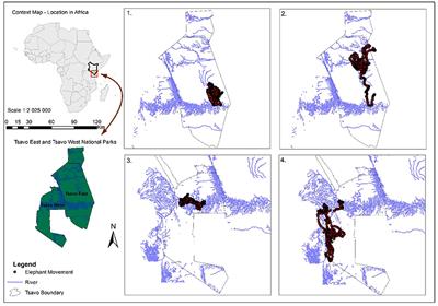 Movement Patterns of African Elephants (Loxodonta africana) in a Semi-arid Savanna Suggest That They Have Information on the Location of Dispersed Water Sources